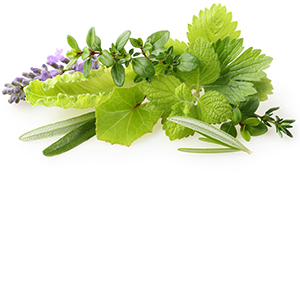 Alpine Herbs Herbasol® Complex unpreserved, system 3